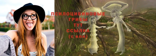 твердый Алексеевка