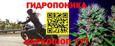 альфа пвп Надым
