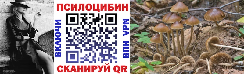 Псилоцибиновые грибы MAGIC MUSHROOMS  продажа наркотиков  Апшеронск 