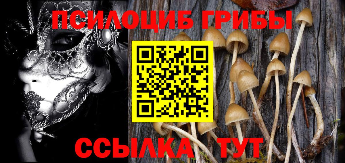 Апшеронск  Галлюциногенные грибы Magic Shrooms  Вход с VPN 